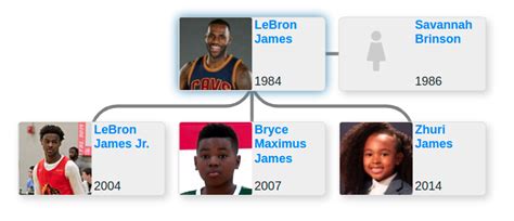 lebron james family tree.
